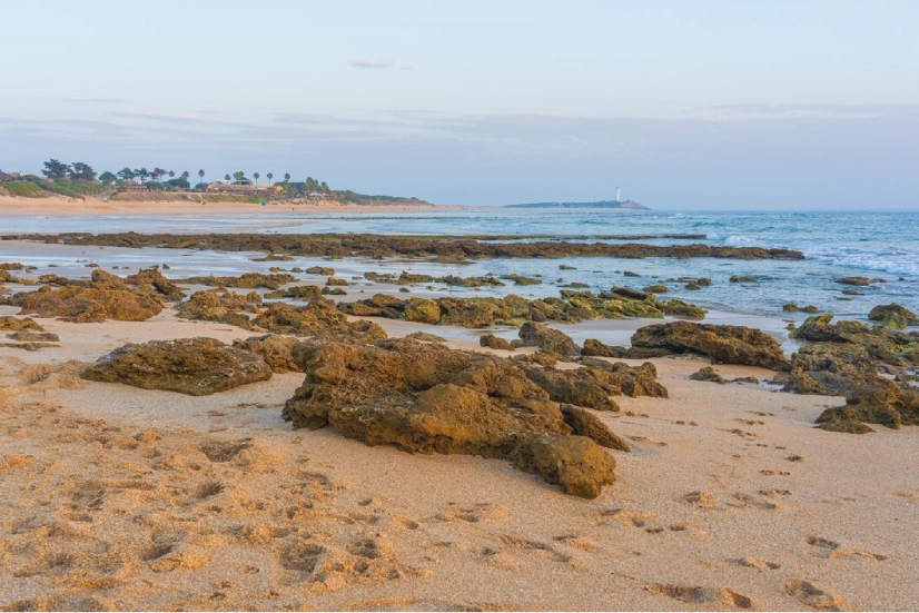 Mahabalipuram